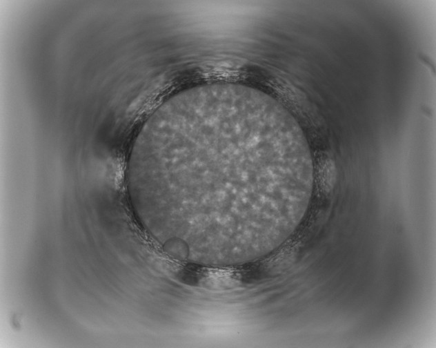 X0000102470709200808291604