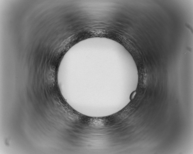 X0000102470710200808291604