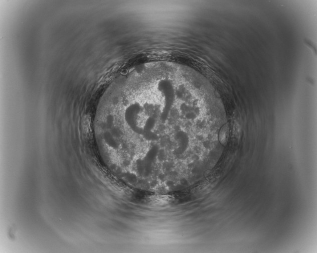 X0000102470711200808291604
