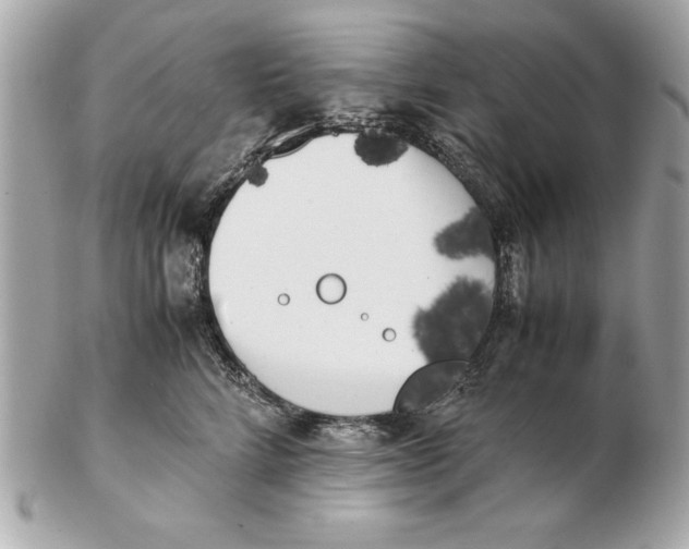 X0000102470712200808291604
