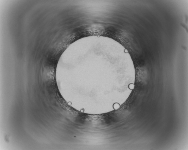 X0000102470713200808291604