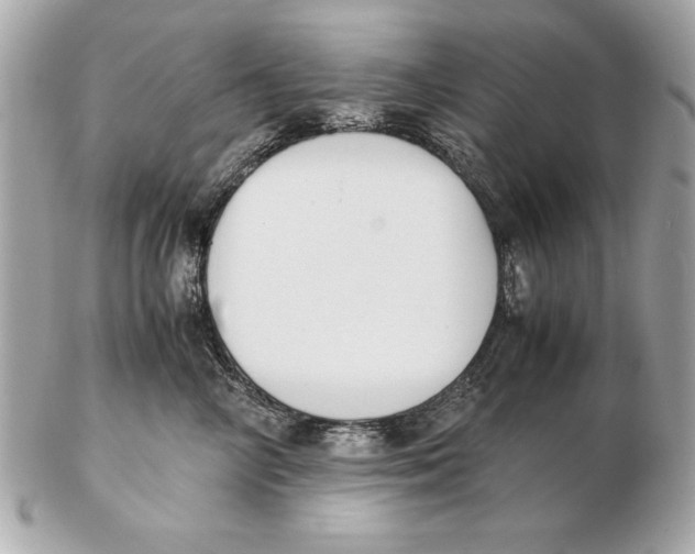 X0000102470714200808291604