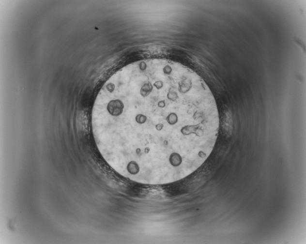 X0000102470715200808291604
