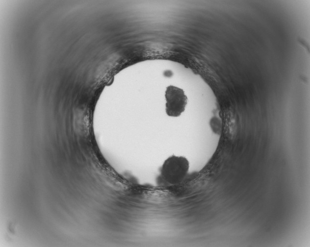 X0000102470716200808291604