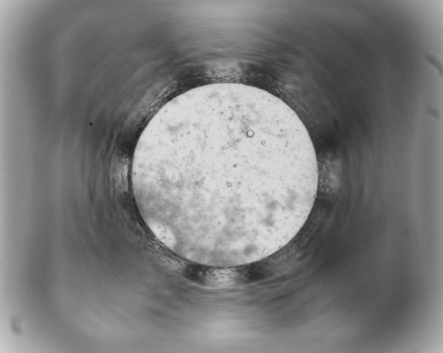 X0000102470717200808291604