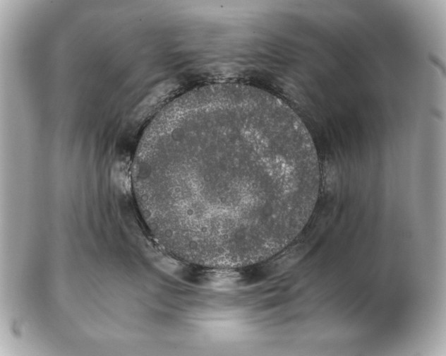 X0000102470719200808291604