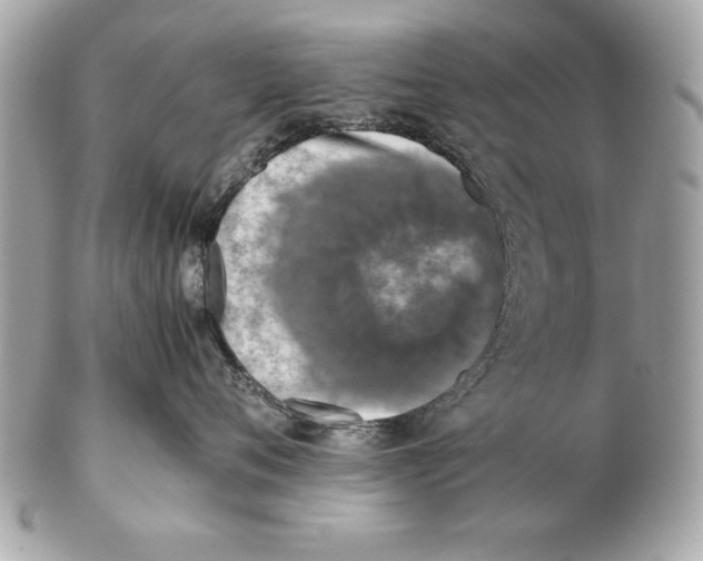 X0000102470720200808291604