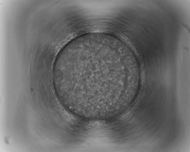 X0000102470721200808291603