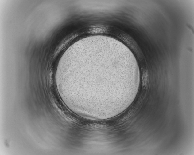 X0000102470722200808291603