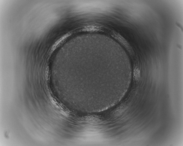 X0000102470724200808291603