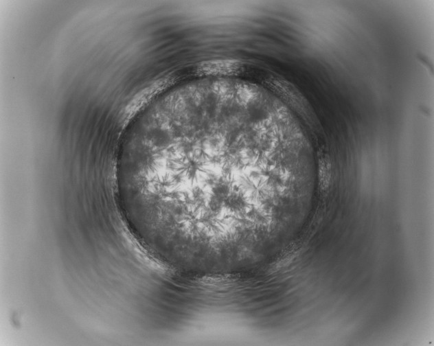 X0000102470725200808291603