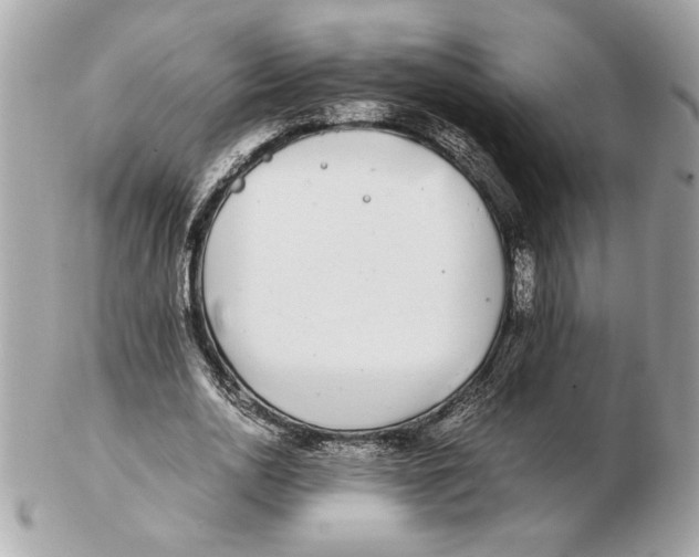 X0000102470726200808291604