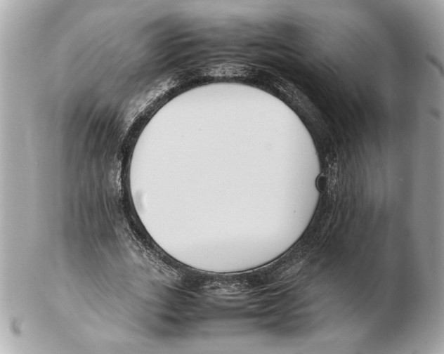 X0000102470727200808291604
