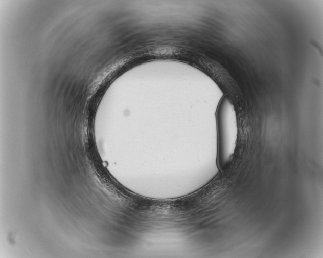 X0000102470728200808291604