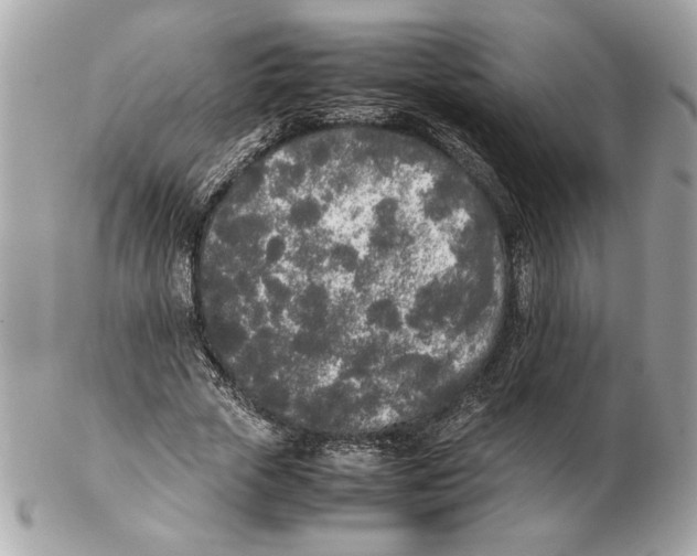 X0000102470729200808291604