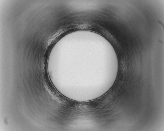 X0000102470730200808291604