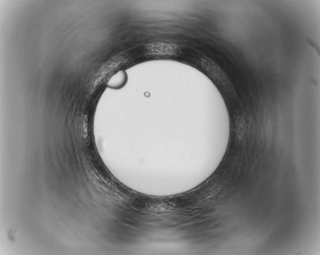 X0000102470731200808291604