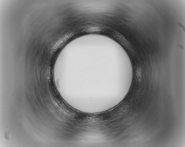 X0000102470732200808291604