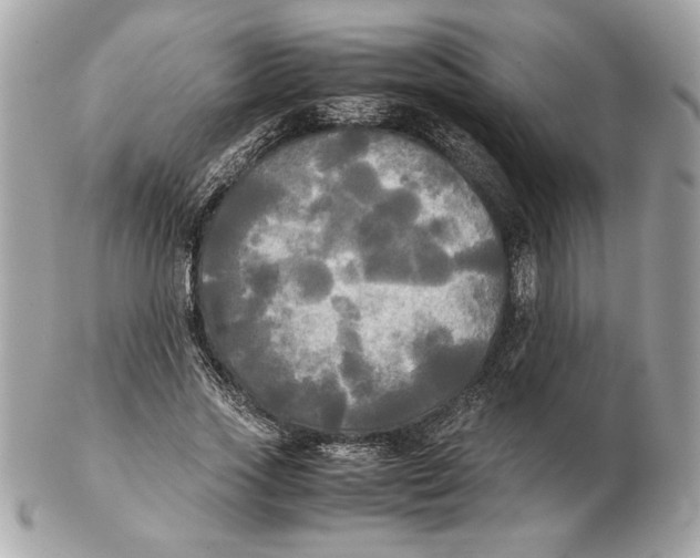 X0000102470733200808291604
