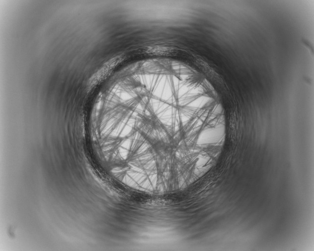 X0000102470734200808291604
