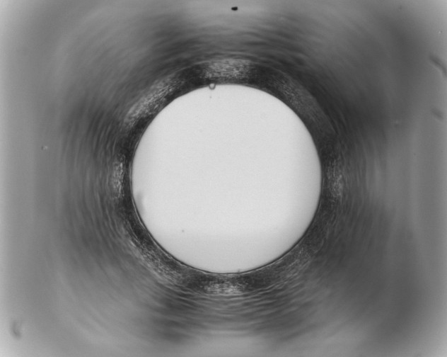 X0000102470735200808291604