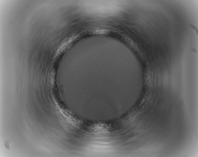 X0000102470736200808291604