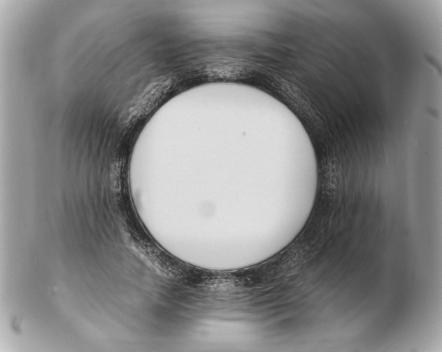 X0000102470738200808291604