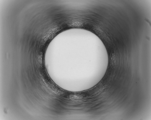 X0000102470739200808291604