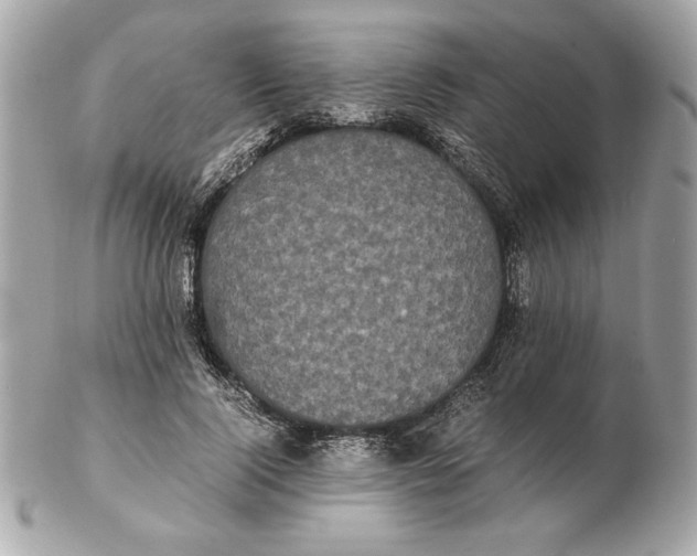 X0000102470740200808291604