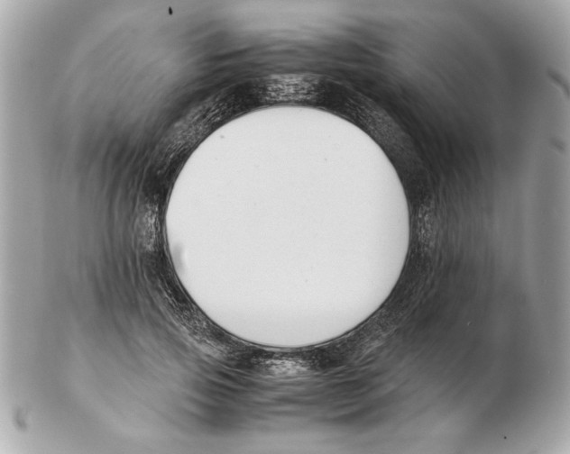 X0000102470741200808291604