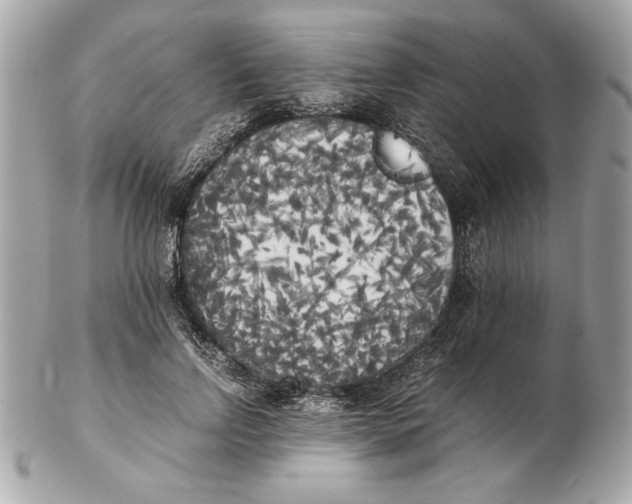 X0000102470742200808291604