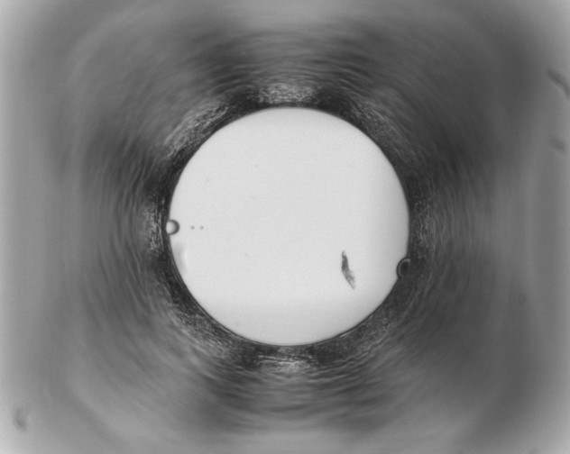 X0000102470743200808291604