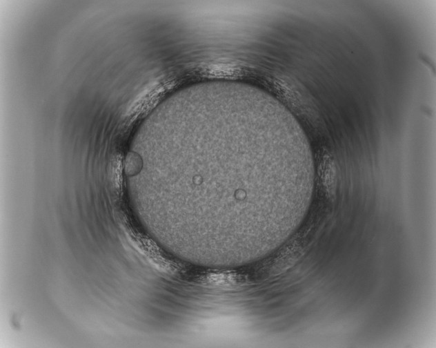 X0000102470744200808291604