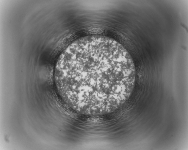 X0000102470745200808291604