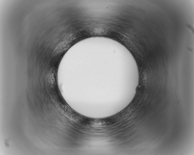 X0000102470746200808291604