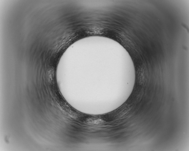X0000102470747200808291604