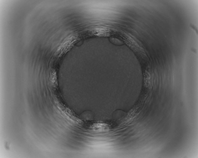 X0000102470748200808291604