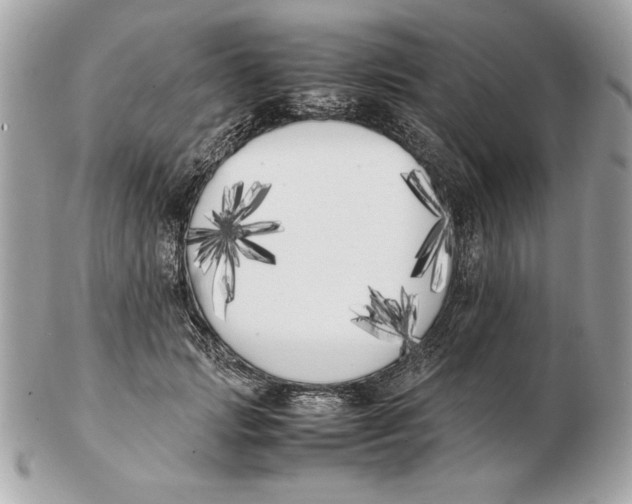 X0000102470749200808291604