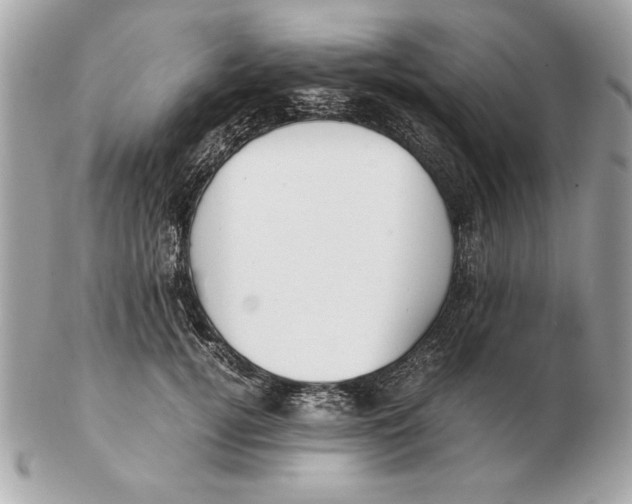X0000102470752200808291604