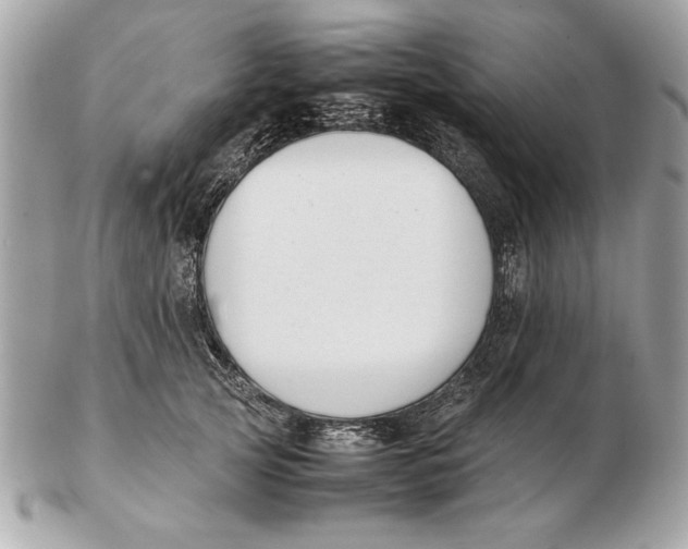 X0000102470753200808291604