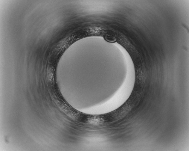 X0000102470754200808291604