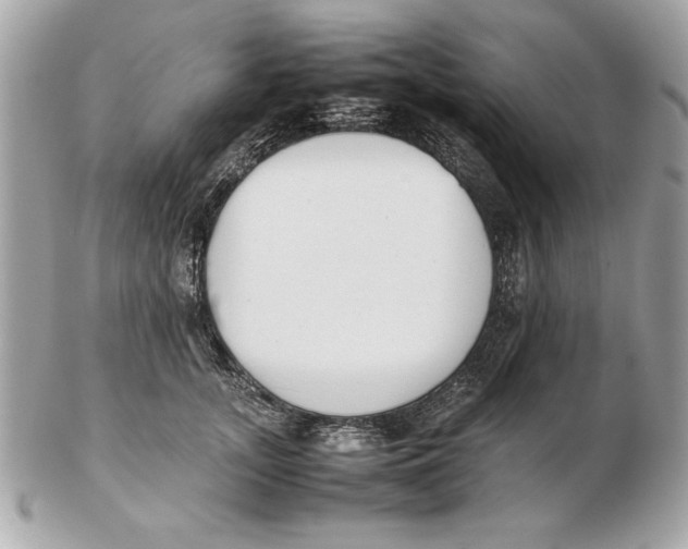X0000102470755200808291604