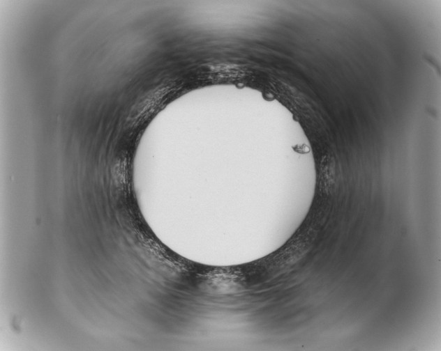 X0000102470756200808291604