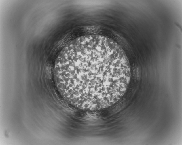X0000102470757200808291604