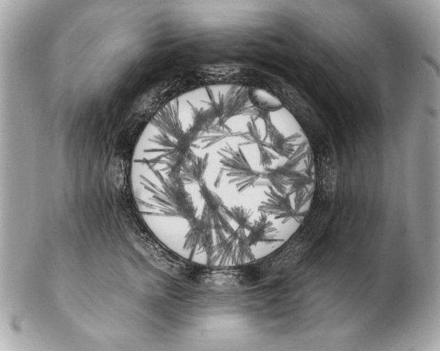 X0000102470758200808291604