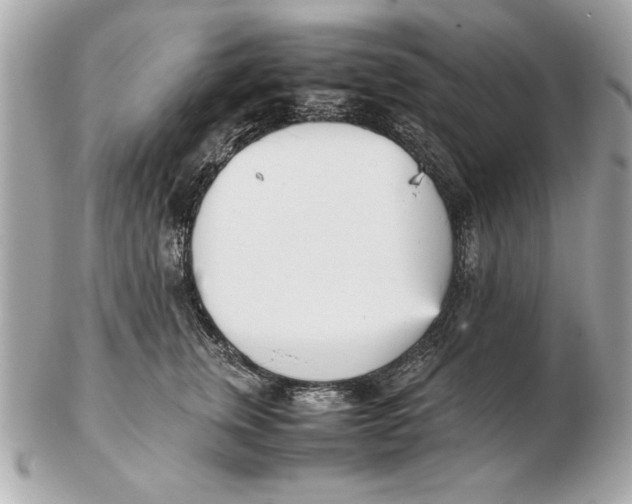 X0000102470759200808291604