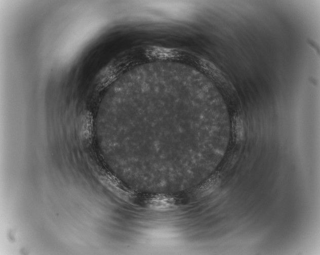 X0000102470760200808291604