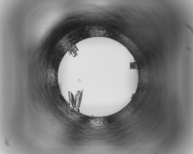 X0000102470761200808291604