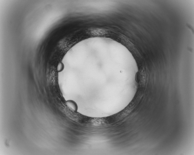 X0000102470762200808291604