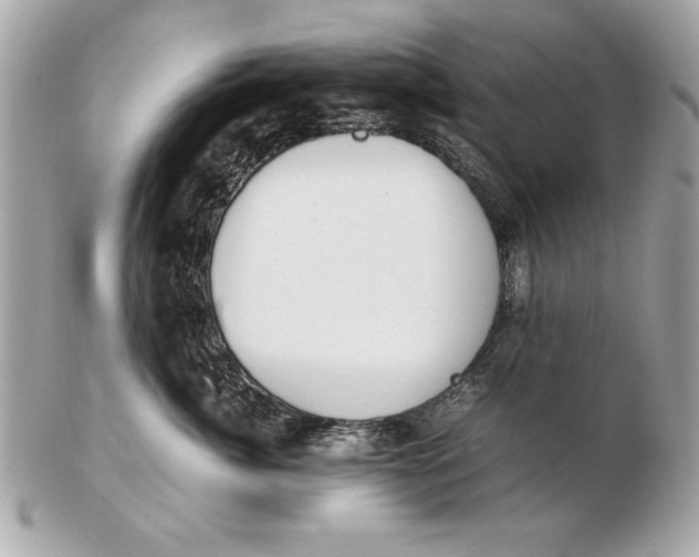 X0000102470764200808291604